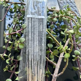 Artesanal incense Long-lasting Perfume Scented - Made of: Palo santo, Quantity: 10 incense