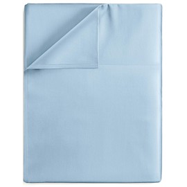 Queen Size Flat Bed Sheet - Hotel Luxury Single Flat Sheet Only - Wrinkle Free & Fade Resistant Flat Sheet - Extra Soft, Comfy & Breathable Flat Sheet for Women & Men - Light Blue Top Flat Sheet Only