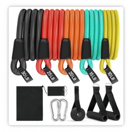 Resistance Bands Set with Handles, 10-30 LB, 5 Bands with Accessories, Multicolour