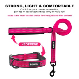 azuza Durable Padded Dog Leash and Collar Set, with Airtag Holder and Reflective Strip, Extra Safe and Comfy for Large Dogs,Hot Pink