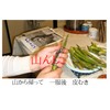 Bamboo Shoot Cutter ACE for all mushrooms from thin to