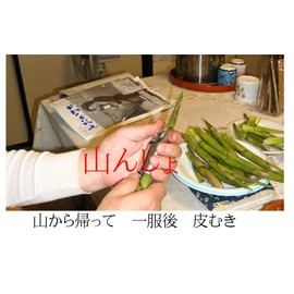 Bamboo Shoot Cutter ACE for all mushrooms from thin to thick mushrooms, convenient for peeling 500 to 10 pieces, 2 sec cuts, 5 - 10 seconds for manual peeling