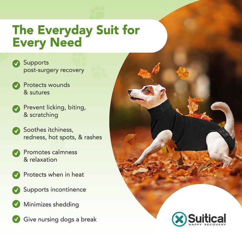 Suitical Recovery Suit for Dogs, Black, XS