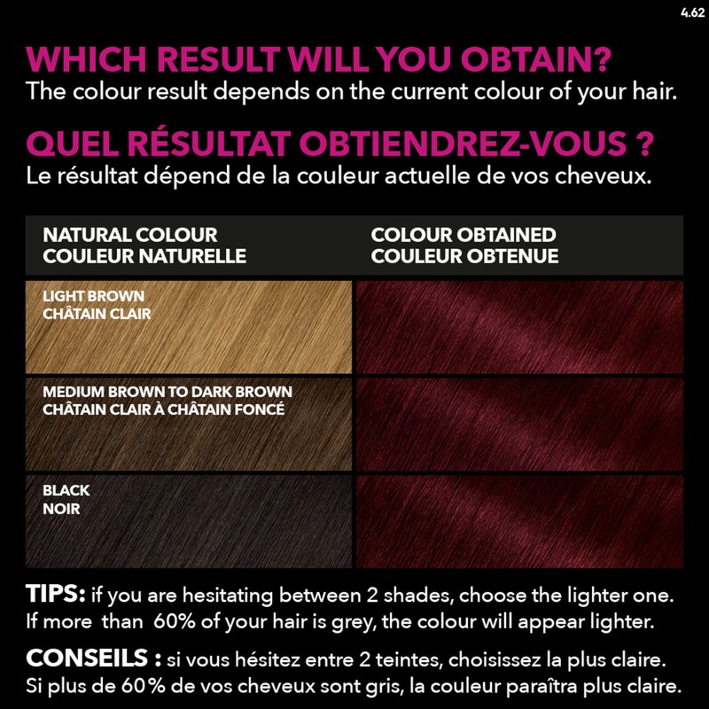 Garnier Olia Permanent Hair Dye, Ammonia-Free Hair Color, 4.62 Dark
