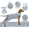 Dog Post Surgery Body Suit, Operation Recovery Suit Female Dog