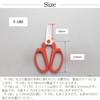 Hand Creation F180 Red