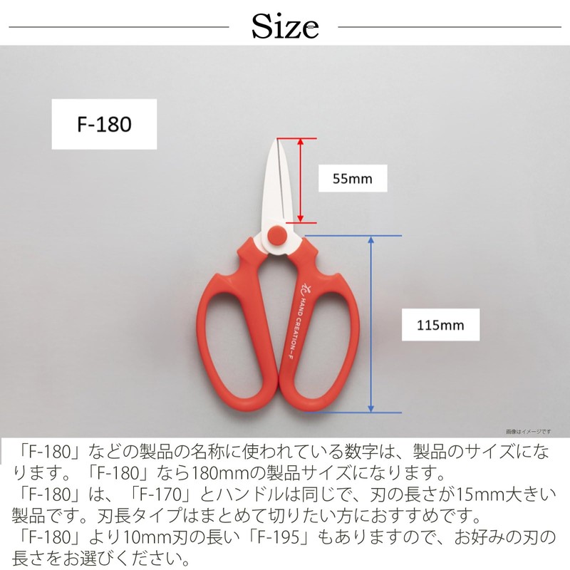 Hand Creation F180 Red