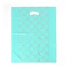 EAS 100-Pack Mint Hardcover Vinyl Bags 45x55cm Clothing Bag