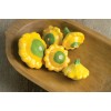CZ Grain 10 Y-Star Patty Pan Squash Seeds for Planting