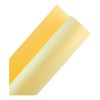 Cartulina Escolar Color 50x65 Cm Mayoreo 50 Pz