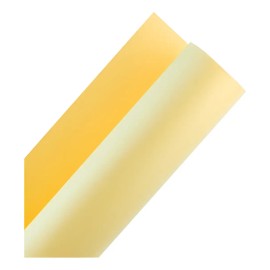 Cartulina Escolar Color 50x65 Cm Mayoreo 50 Pz