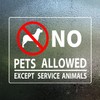 No Pets Allowed Warning Window Decals, 8 x 6 Inches,