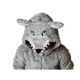Wunsy Grey Fluffy Wolf Onesie with Tail in Children's Ages 2-13 Years (UK, Age, 6 Years, 7 Years, Regular, Grey Wolf with Tail)