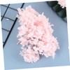 DECHOUS Hortensia Seca Flores Preservadas 20 g Perfectos para Arte