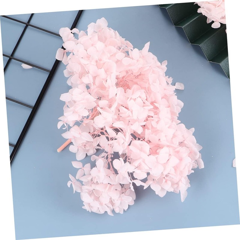 DECHOUS Hortensia Seca Flores Preservadas 20 g Perfectos para Arte