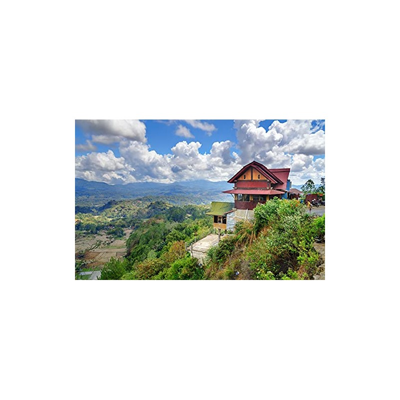 Green coffee beans Java Kayumas (highland raw coffee beans 500g)