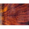 Speert Austrian Tortoiseshell Nail Brush Scrubbing Fingernail Nail Scrub Cleaner