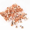 Thumb Tacks 500-count, 3/8-inch Rosegold Roundness Push Pins Office Tacks