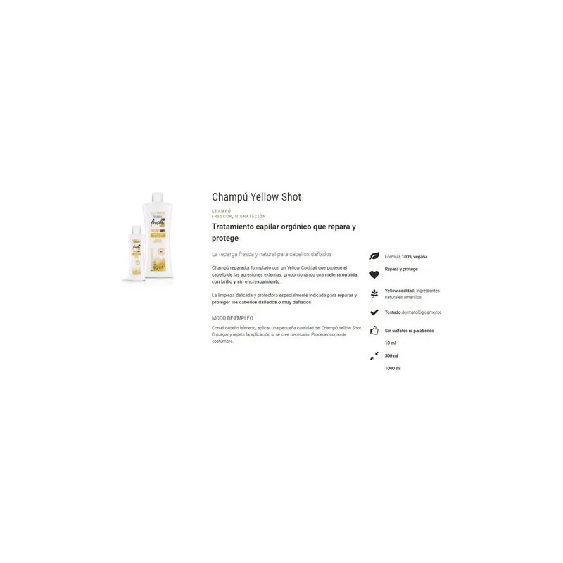 Salerm Yellow Shot Shampoo 1lt + Gel Rizos Booster 300ml
