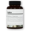 GUDGUT Prebiotic + Probiotic 35 Billion CFU – Vegan, Gluten-Free,