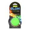 Trendy Pets Glow in The Dark Fetch Ball Dog Toy,