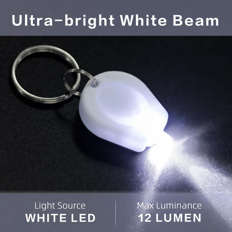 RaySoar 10 Pack Ultra Bright Mini LED Keychain Flashlight, Small