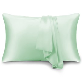 HandSun 100% Mulberry Silk Pillowcase for Hair and Skin with Gift Package Both Side 19 Momme Silk Pillowcase, 1pc (Standard(20"x26")-New,Mint Green)