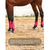 Harrison Howard Horse Tendon Boots Open Front/Fetlock Boot for Horse