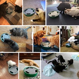 Pawaboo Cat Toy, Electric Mouse, Interactive Kitten Toy, Cat Bed, Scratching Mat, Catnip, Cute and Safe Toy, Play Ball for Small Cat Game, Biting Chewing, Blue