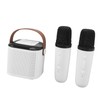Portable Bluetooth Speaker Multifunctional 360° Stereo Surround Sound Wireless Bluetooth
