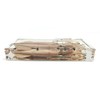 Squid Cuttlefish Conformation Specimen in Acrylic Block Paperweights Science Classroom