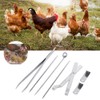 Stainless Steel Chicken Capon Tool Knife Kit Poultry Veterinary Instrument