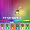 Ruibutrade Vintage Battery Operated Wall Sconces with Remote, 180 Degree