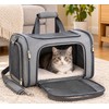 Dog Carrier for Small Medium Cats Puppies up to 15