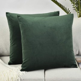 Rythome Set of 2 Comfortable Throw Pillow Cover for Bedding, Decorative Accent Cushion Sham Case for Couch Sofa, Soft Solid Velvet with Zipper Hidden - 16"x16", Dark Jungle Green