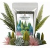 Gardenera Evergreen Fertilizer – All-Purpose Granular Plant Food for Outdoor