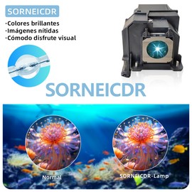 Replacement Projector Lamp Compatible with Epson ELPLP91/V13H010L91 EB-680S EB-680 EB-685WS EB-685WT EB-685W EB-685Wi EB-695WT EB-695Wi EB-695Wi Powerlite 680/685W BRIGHTLINK 685Wi+/685Wi/695Wi+/695Wi