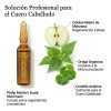 Ampolletas Capilares Phillip Martins Restaurador Anticaída 12x7ml Tratamiento Profesional Cabello