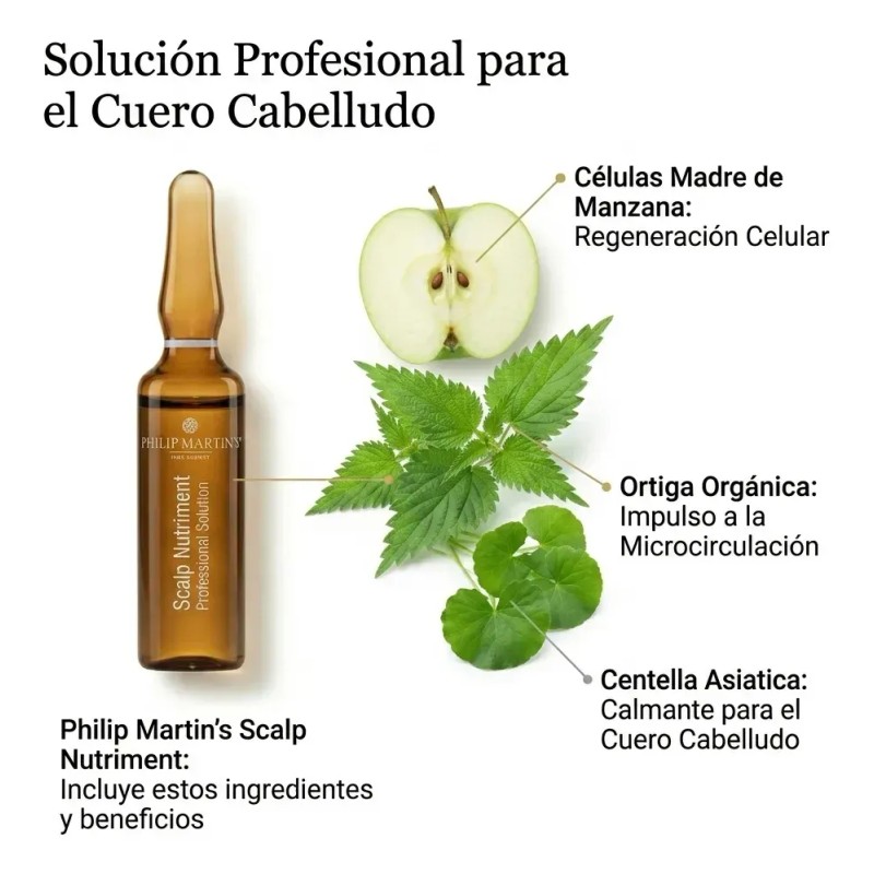 Ampolletas Capilares Phillip Martins Restaurador Anticaída 12x7ml Tratamiento Profesional Cabello