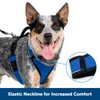 PetSafe® EasySport Harness, Small, Teal