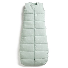 ergoPouch Baby Sleeping Bag Jersey, 8-24 Months, Ideal in Winter | Sage | TOG 2.5 | 100% Organic Cotton | Swaddling Bag, 2-in-1, Swaddling Blanket, Swaddle, Wrap Cloth