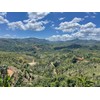 Julian Coffee - Whole Bean, Specialty Grade Single Origin Arabica