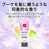 Wella Color Treatment, Hair Dye, Swell Care, Ash Black, 6.3