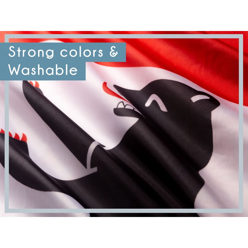 PHENO FLAGS Berlin Flag - Federal State Flag with Brass