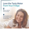 OHFULLS Refrigerator Water Filter 847200, Compatible with Fisher Paykel 847200