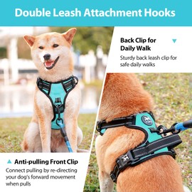 PoyPet No Pull Dog Harness with Neck Release Buckle, Reflective No-Choke Harness with 2 Leash Clip, Adjustable Soft Padded Pet Vest with Easy Control Handle for Small Dogs (Mint Blue,S)