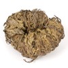 Incense Garden Rose of Jericho Flower The Resurrection Plant (1