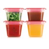 Tescoma Healthy Mini Containers for The Freezer Purity, Assorted, 170