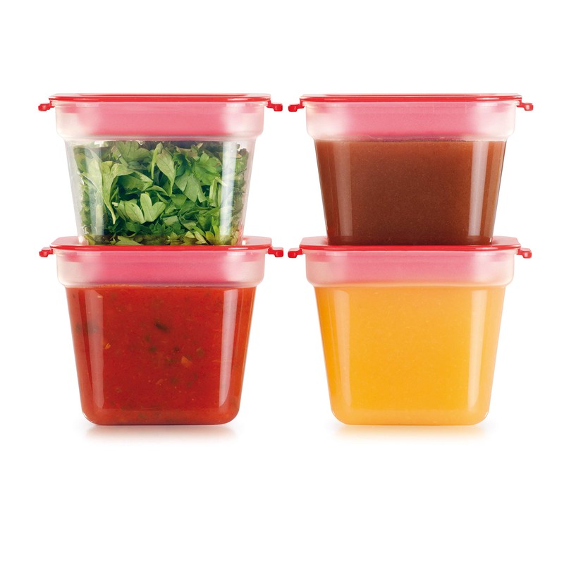 Tescoma Healthy Mini Containers for The Freezer Purity, Assorted, 170