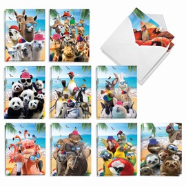 The Best Card Company - 20 Assorted Blank Note Cards Boxed Set 4 x 5.12 Inch with Envelopes (10 Designs, 2 Each) Wildlife Photo Ops AM10209OCB-B2x10